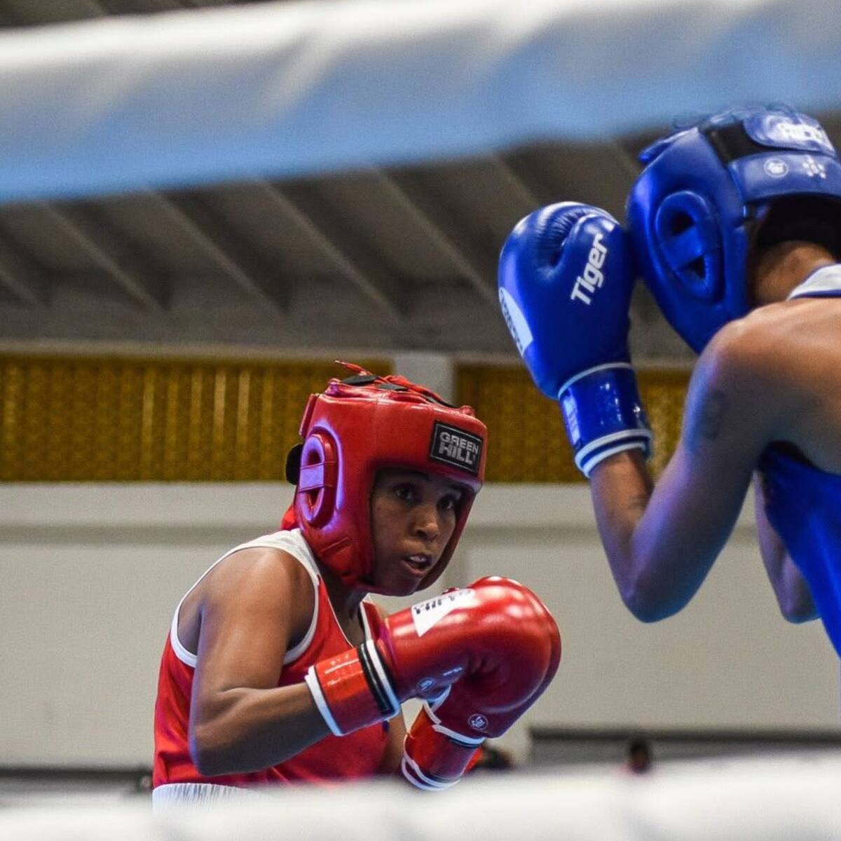 Se desarrolla en Girardot la Copa América de Boxeo 2026: cerca de 100 deportistas participan
