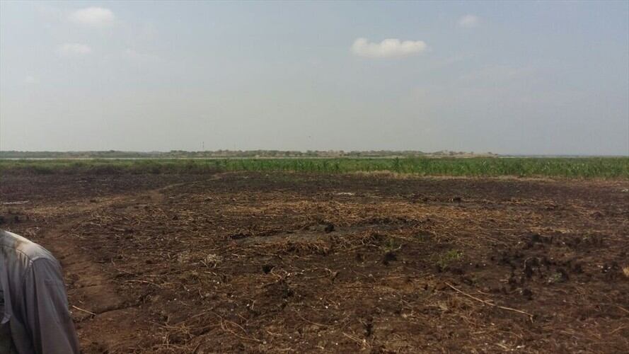 Ciénaga de Cerro de San Antonio. Foto: cortesía alcalde de Concordia