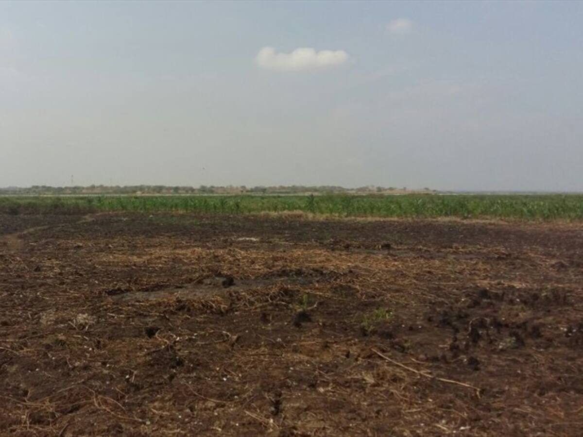 Magdalena: sequía en Ciénaga de Cerro de San Antonio generaría colapso financiero