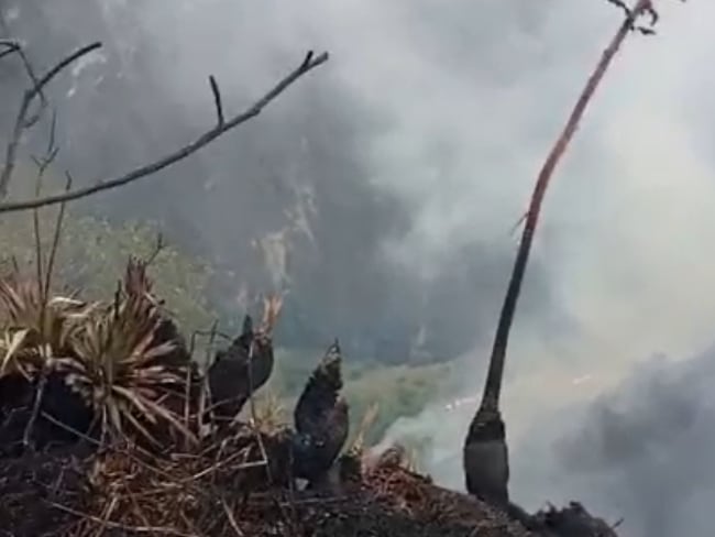 Incendio en zona rural  de Puerres -Nariño. Imagen captura de video