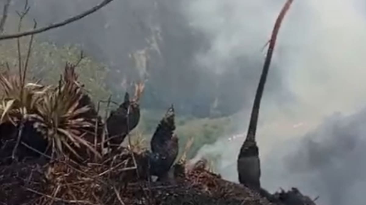 Incendio en zona rural de Puerres - Nariño: llamas amenazan con llegar a viviendas y cultivos