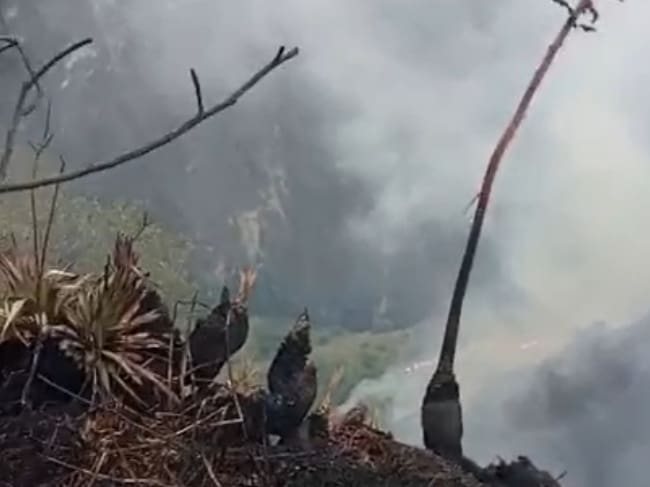 Incendio en zona rural de Puerres -Nariño. Imagen captura de video