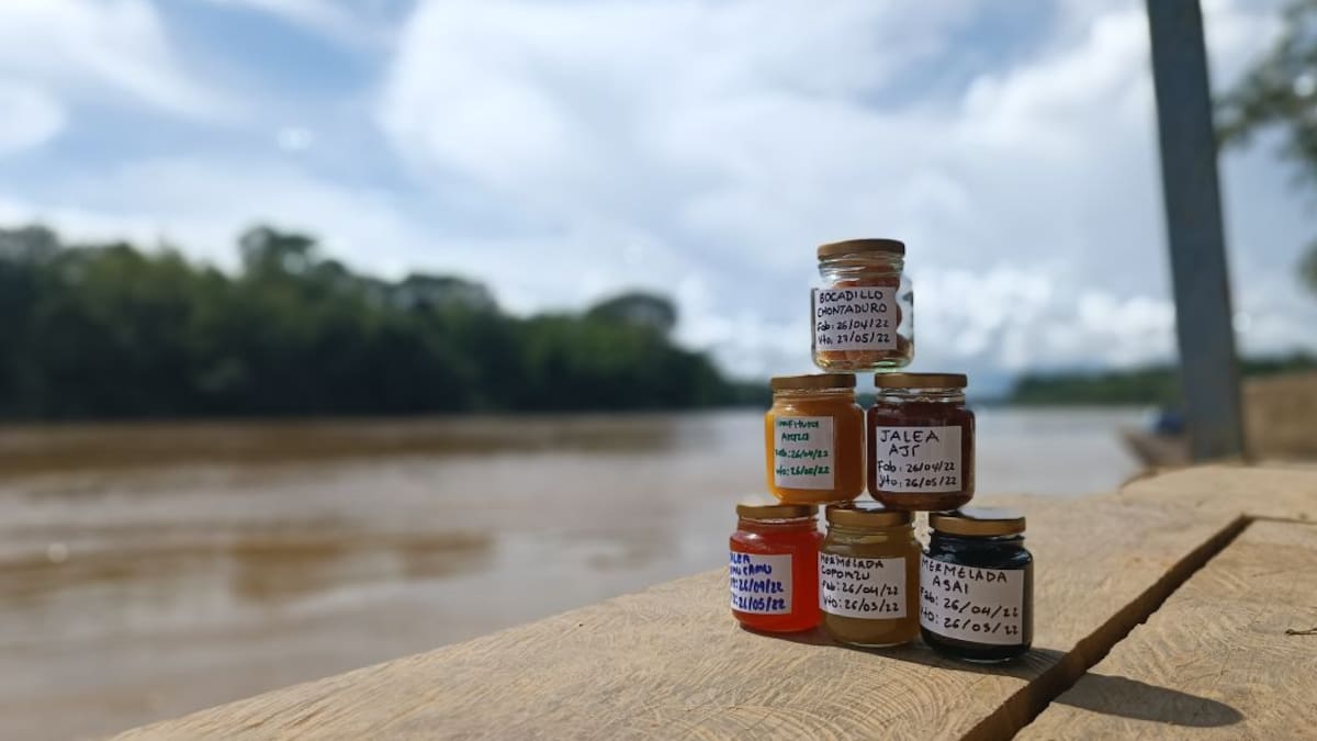 Superalimentos amazónicos, opción económica sostenible