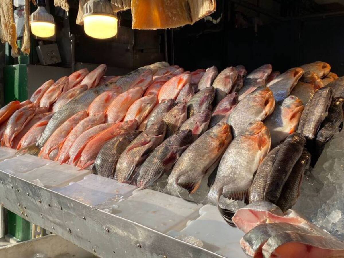El pescado, la papa, los lácteos; todo está caro en Medellín