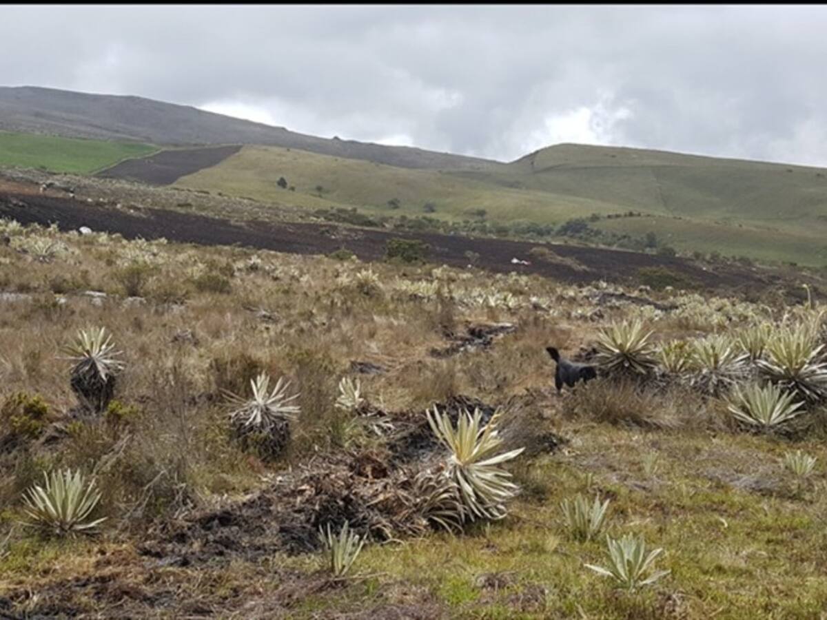 En septiembre inicia segunda ronda de diálogo por delimitación del Paramo de Pisba