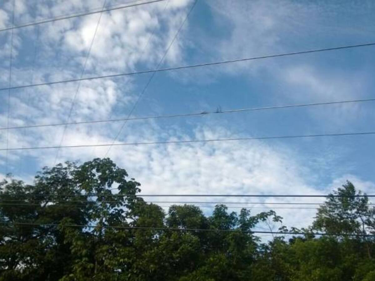 Comunidades del norte del Cauca protestan por deficiencias en el servicio de energía