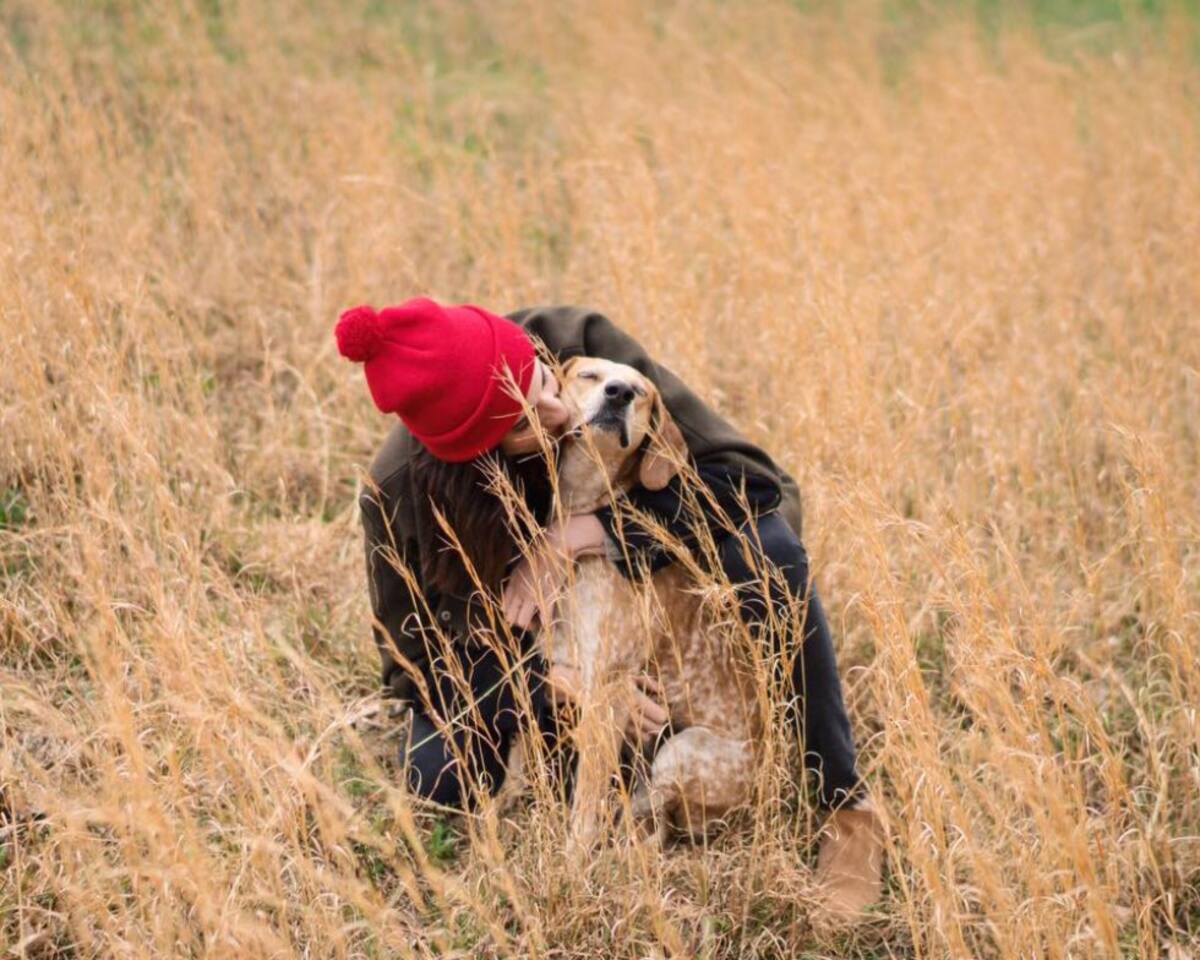 Allí se relatará cómo el rescate de animales domésticos ha cambiado la vida de varios estadounidenses.