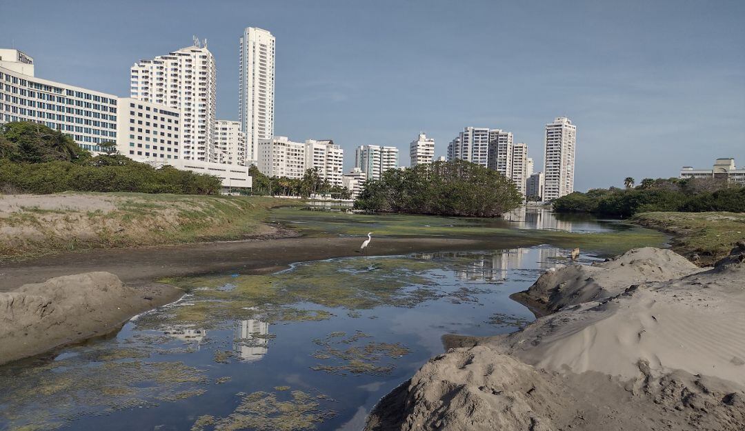 El cierre de la convocatoria es el próximo 11 de junio y se realizará mediante la modalidad de selección abreviada de menor cuantía