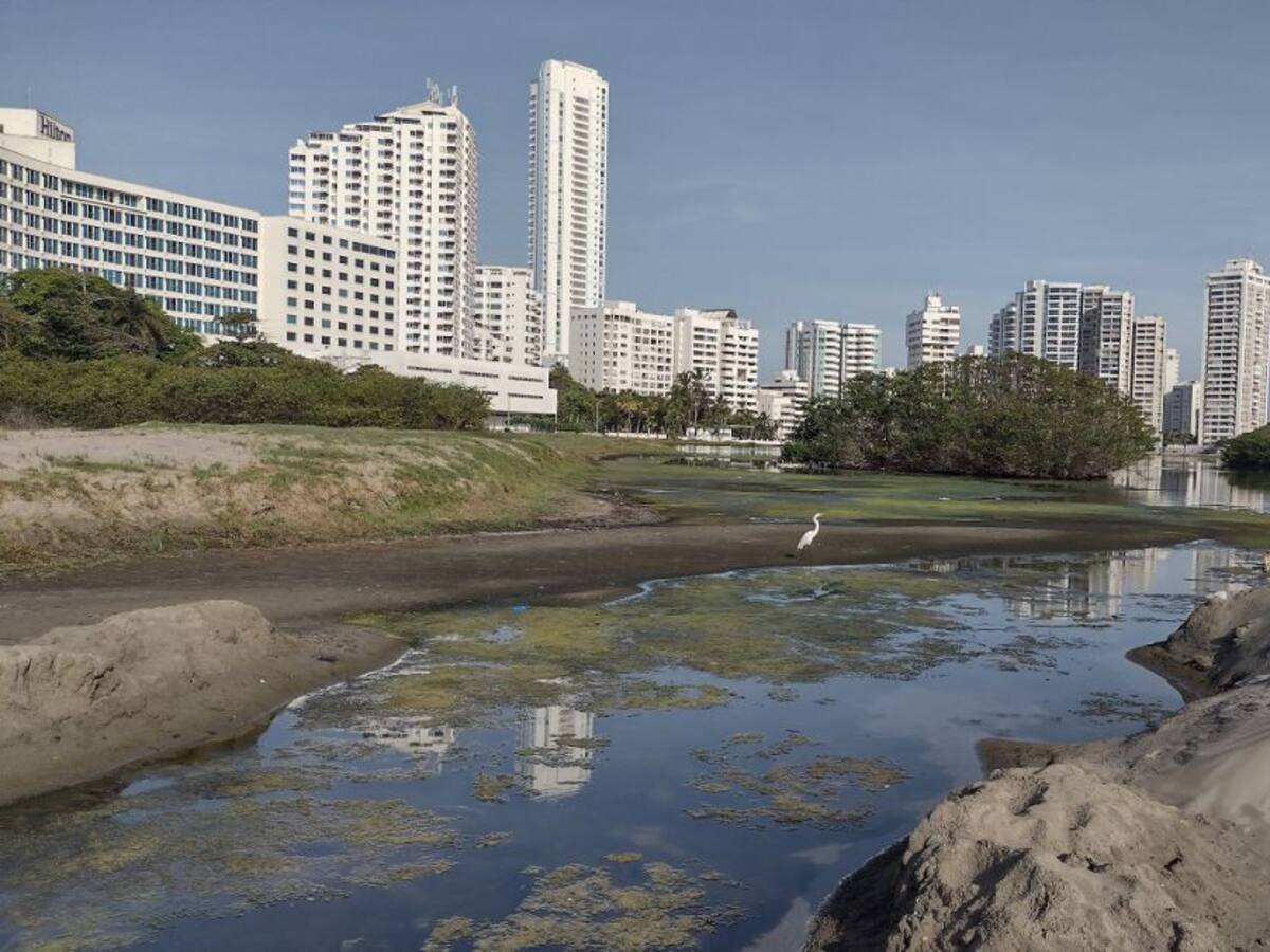 Abrieron proceso para contratar operación de bomba axial en El Laguito
