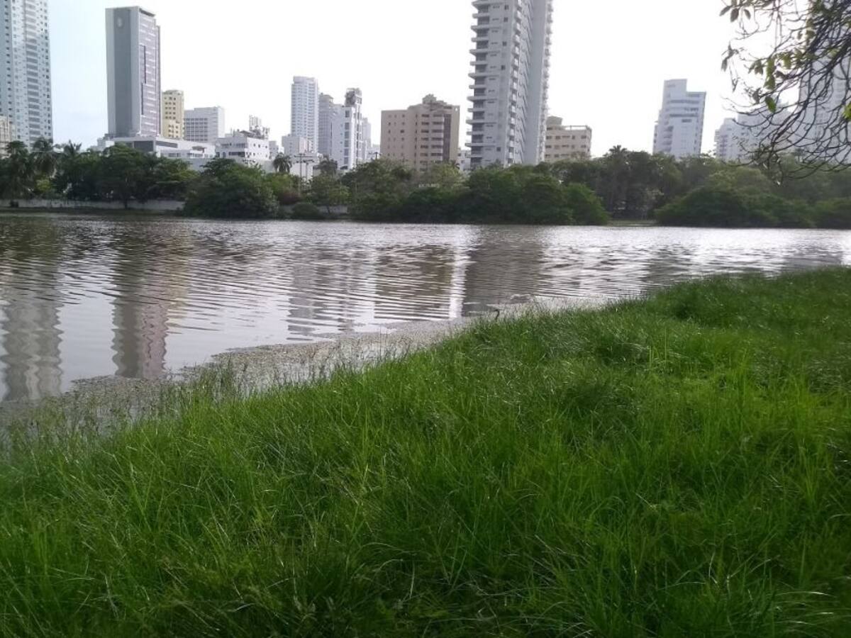 Espolón del Hotel Hilton no contamina El Laguito: director del EPA