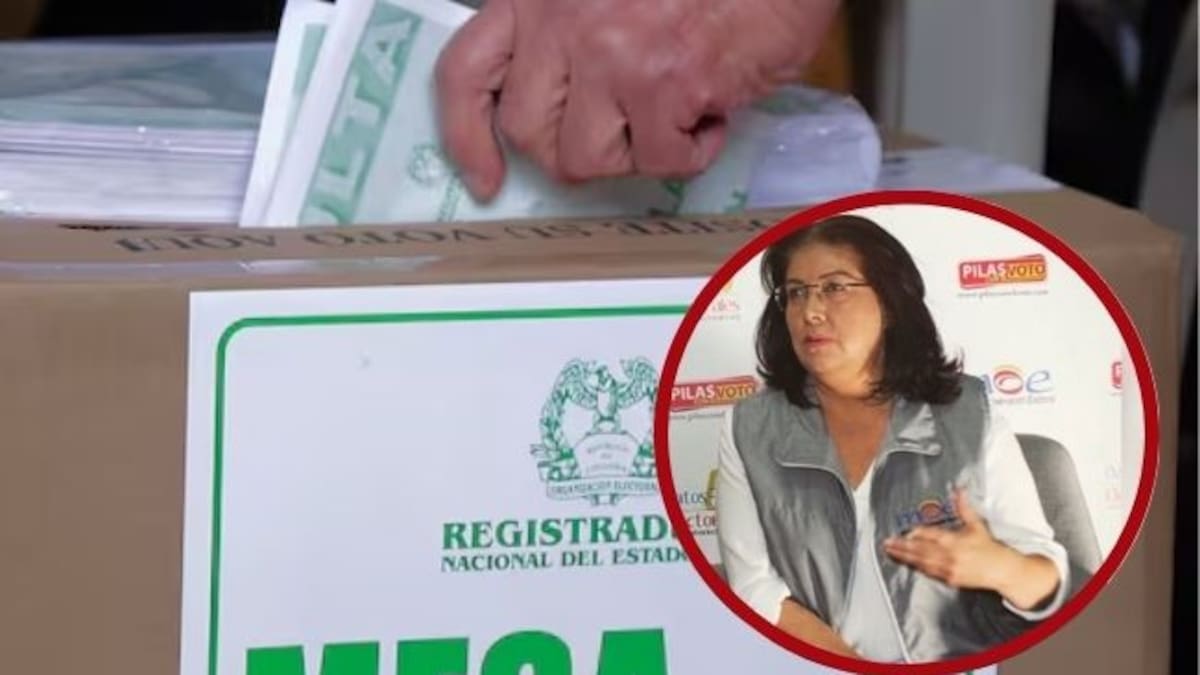 No puede hacerse fraude masivo con lapiceros y tarjetas electorales: MOE tras acusaciones de Petro