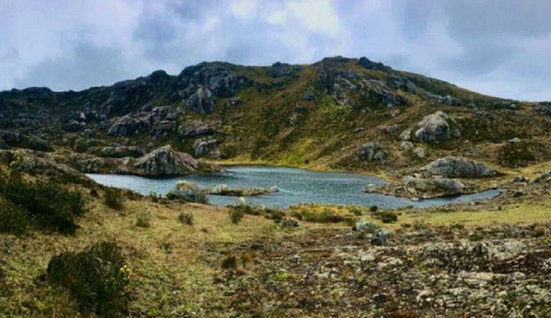 Páramo de Santurbán