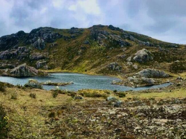 Páramo de Santurbán