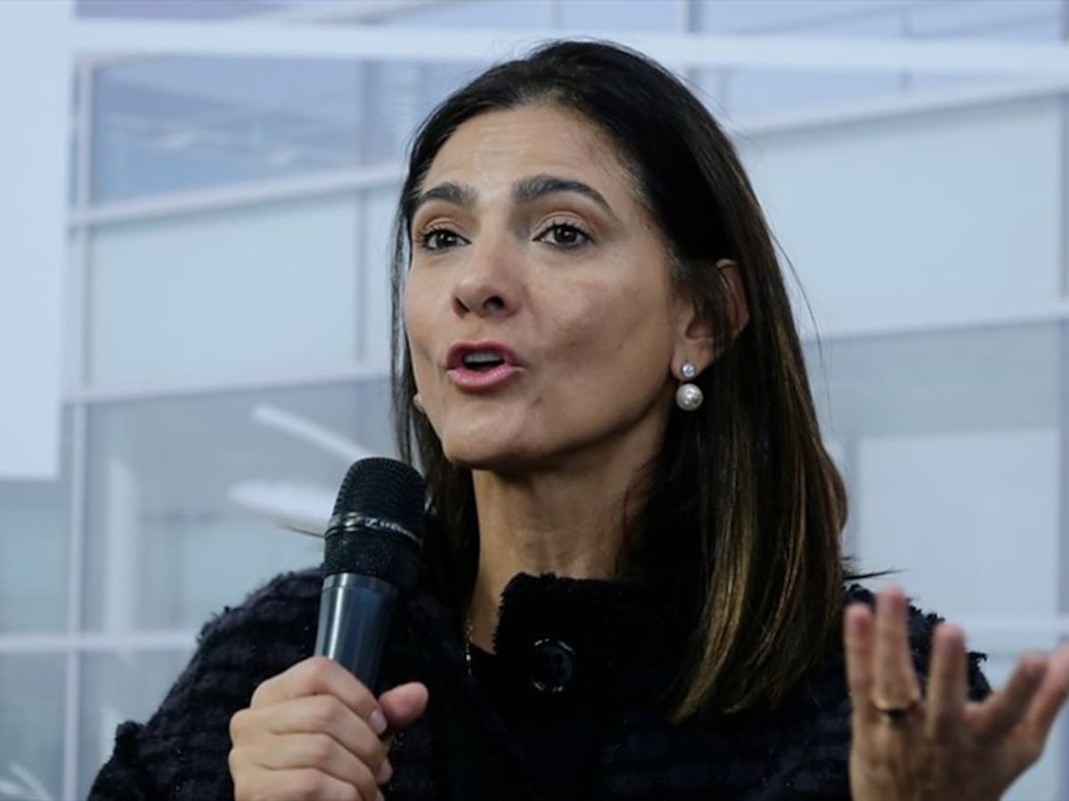 Los problemas que enfrentó el proyecto del Cruce de la Cordillera Central