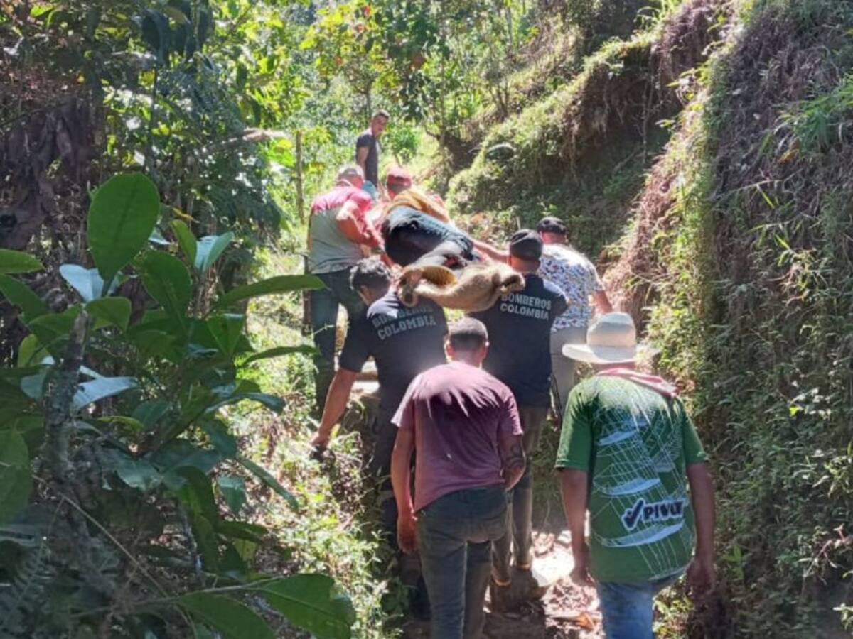 Un agrónomo rodó por una ladera cuando visitaba unas fincas en Pensilvania