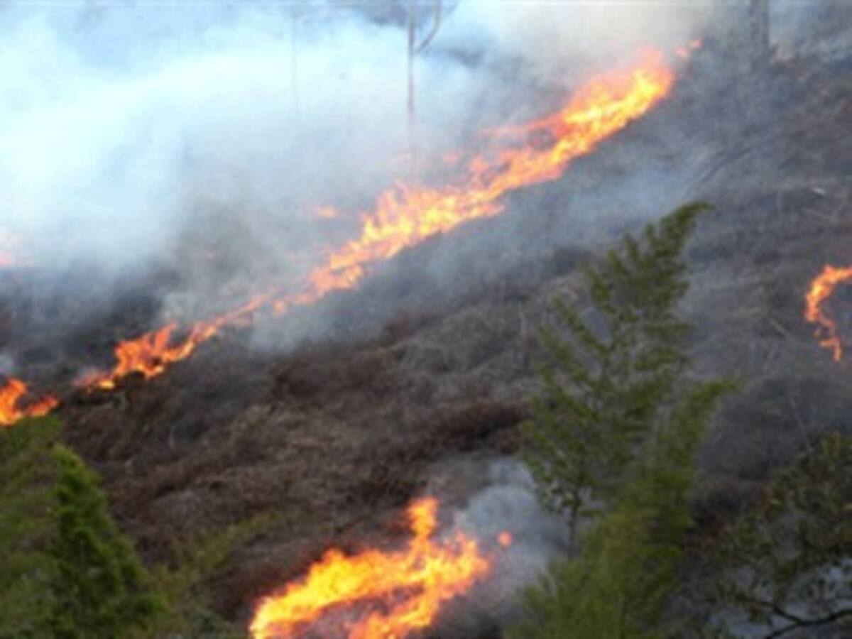 Santos pide ahorrar agua tras los duros efectos que está ocasionando la sequía