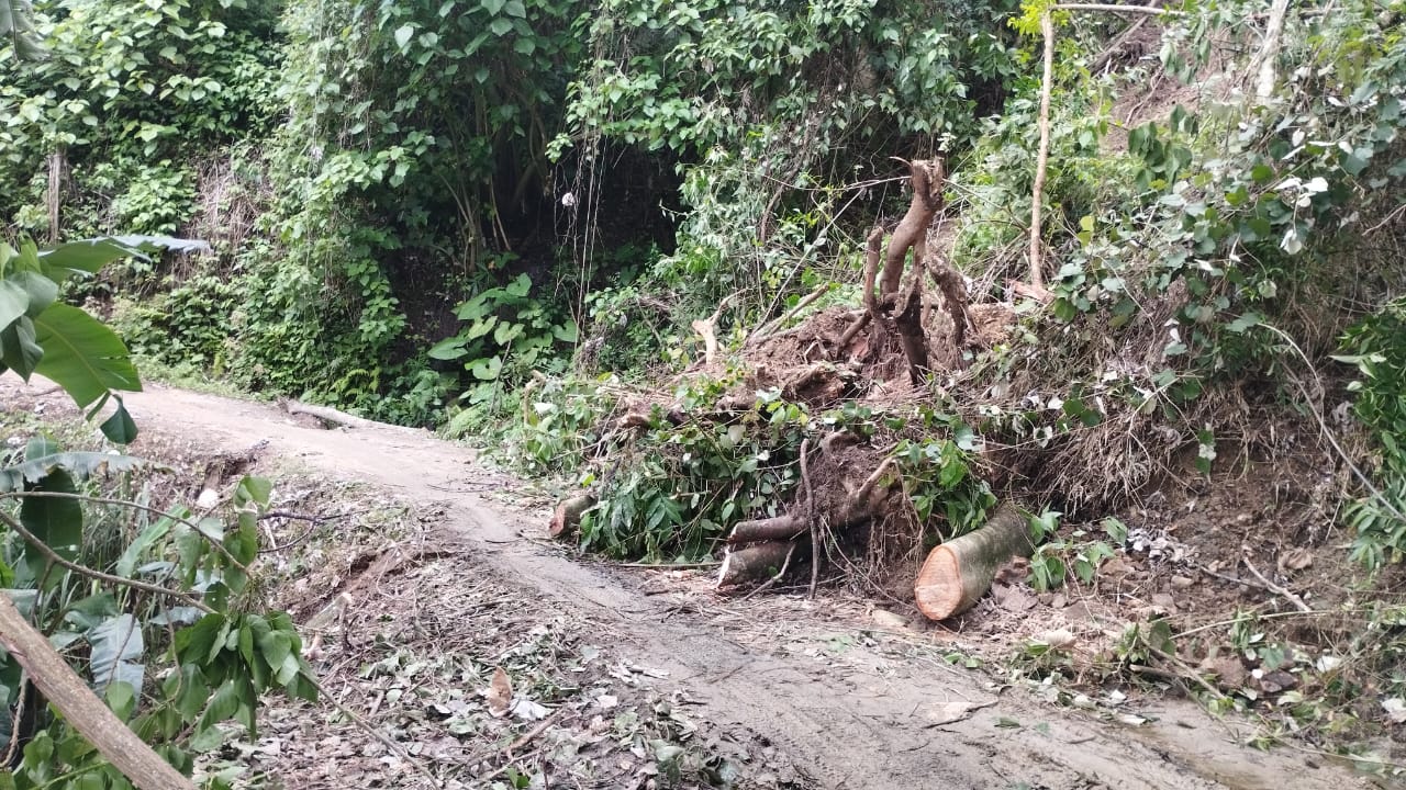 Lluvias dejan perdidas económicas en el Huila. Foto Gobernación Huila.