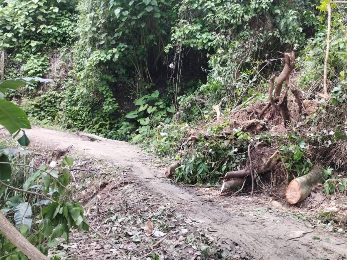 Primera temporada de lluvias deja perdidas y afectaciones en el Huila