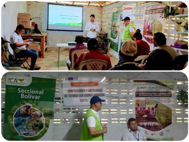 Instituto Colombiano Agropecuario (ICA)