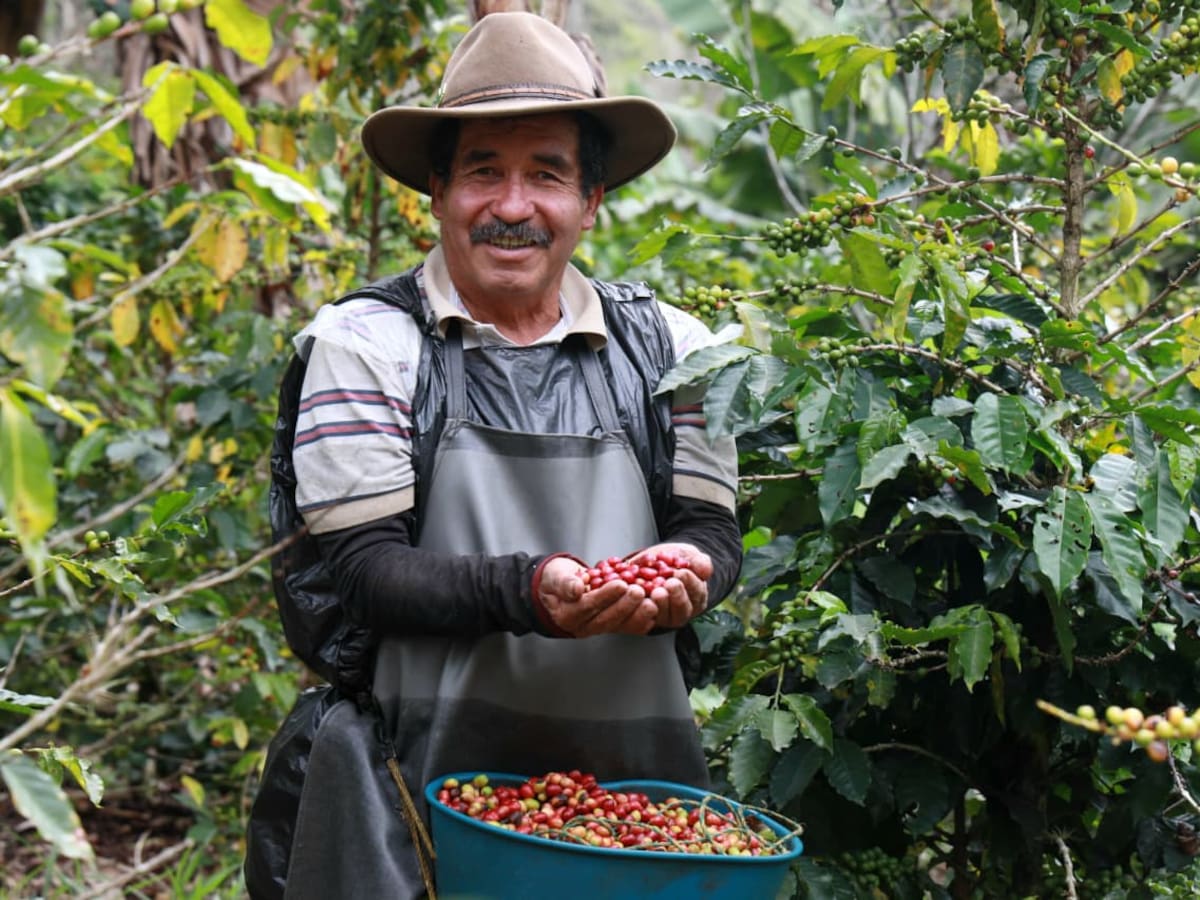 Suspenden convocatoria FINCA 2026 en Boyacá para revisión administrativa