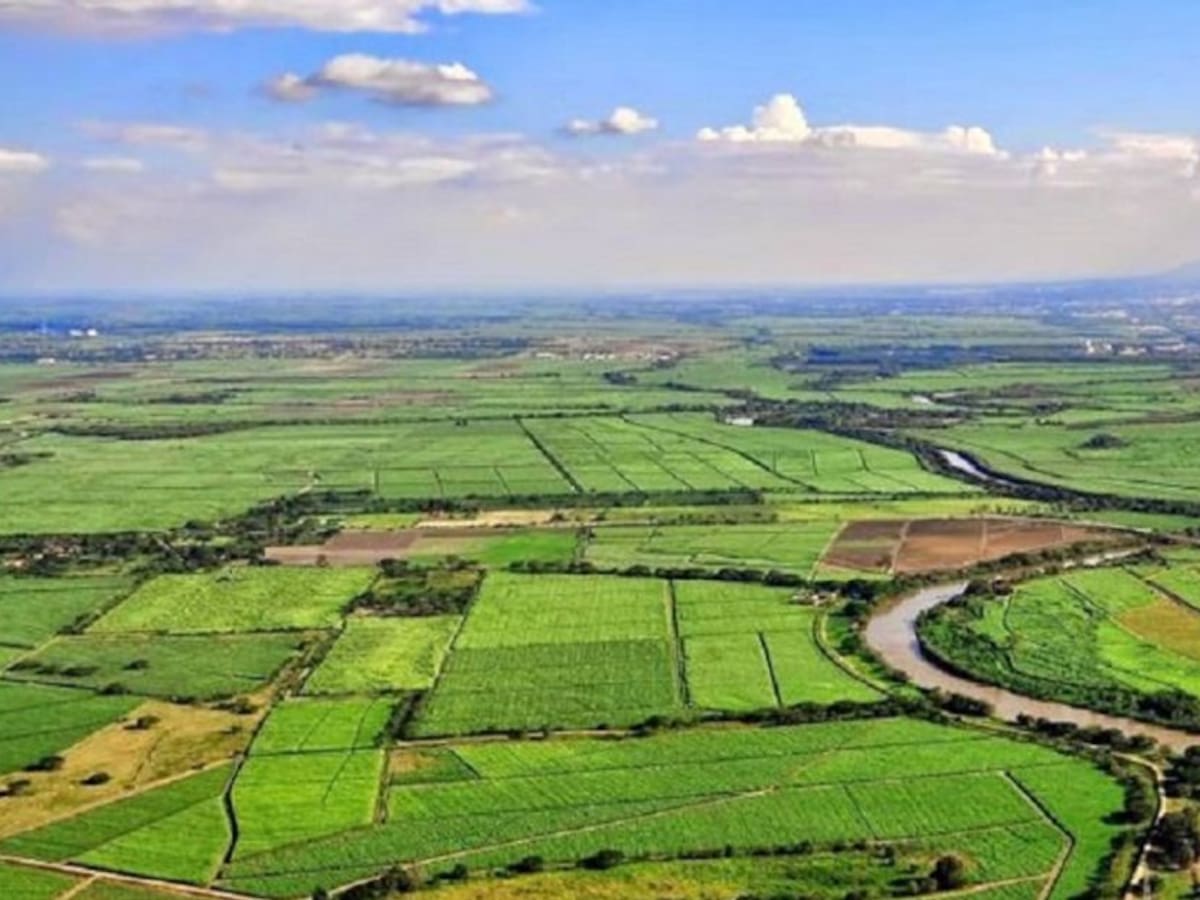 Financial Times eligió al Valle como destino tendencia para turismo 2020