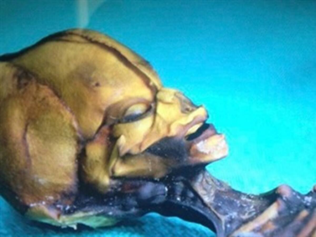 Se busca al primo del "mini extraterrestre" encontrado en Chile