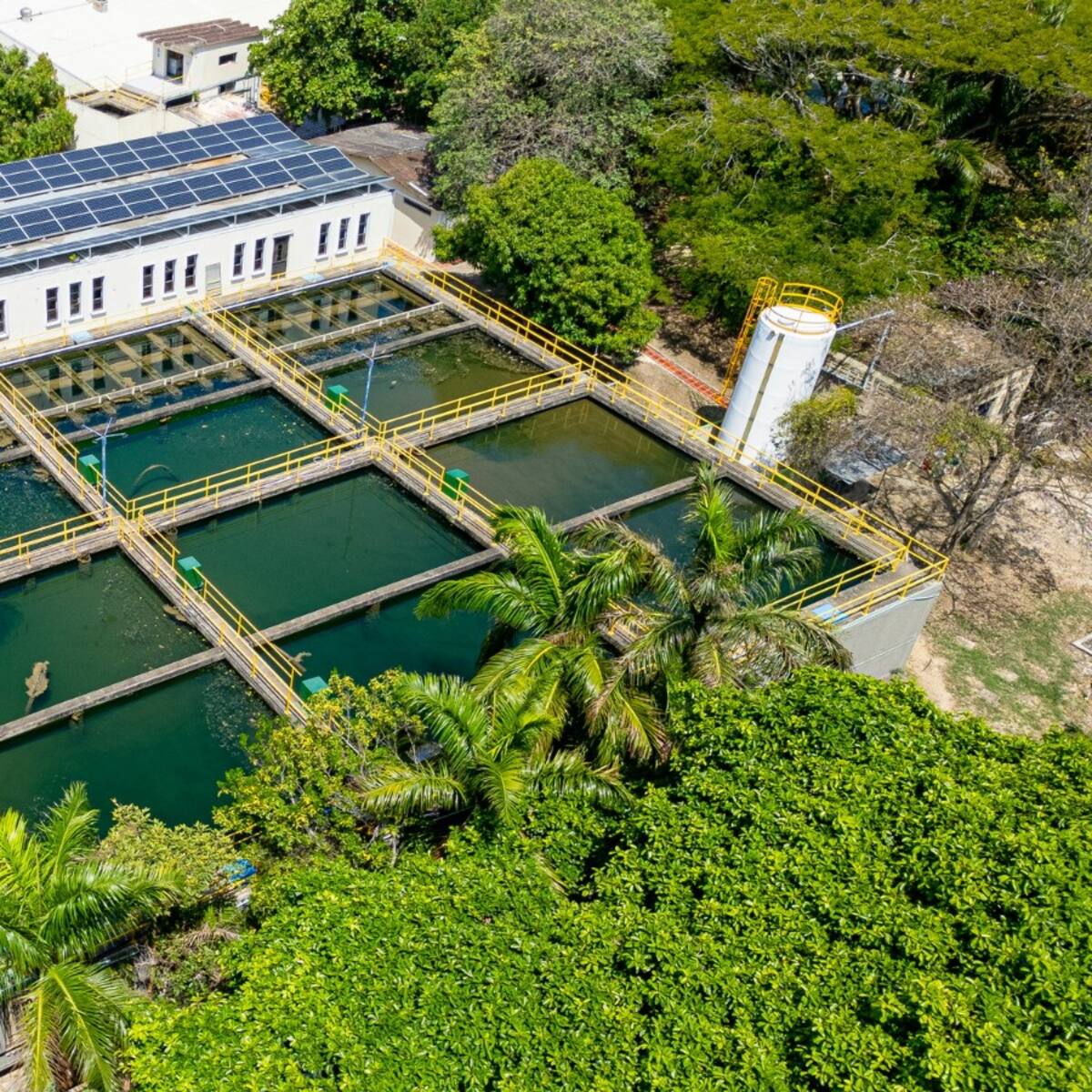 Aguas de Cartagena destaca calificación y buen desempeño según informe de Superservicios