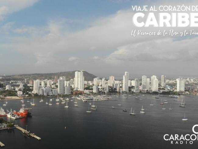 Las panorámicas de una Cartagena sin turistas