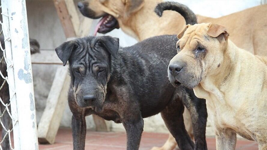 Imagen de referencia. Foto: Colprensa