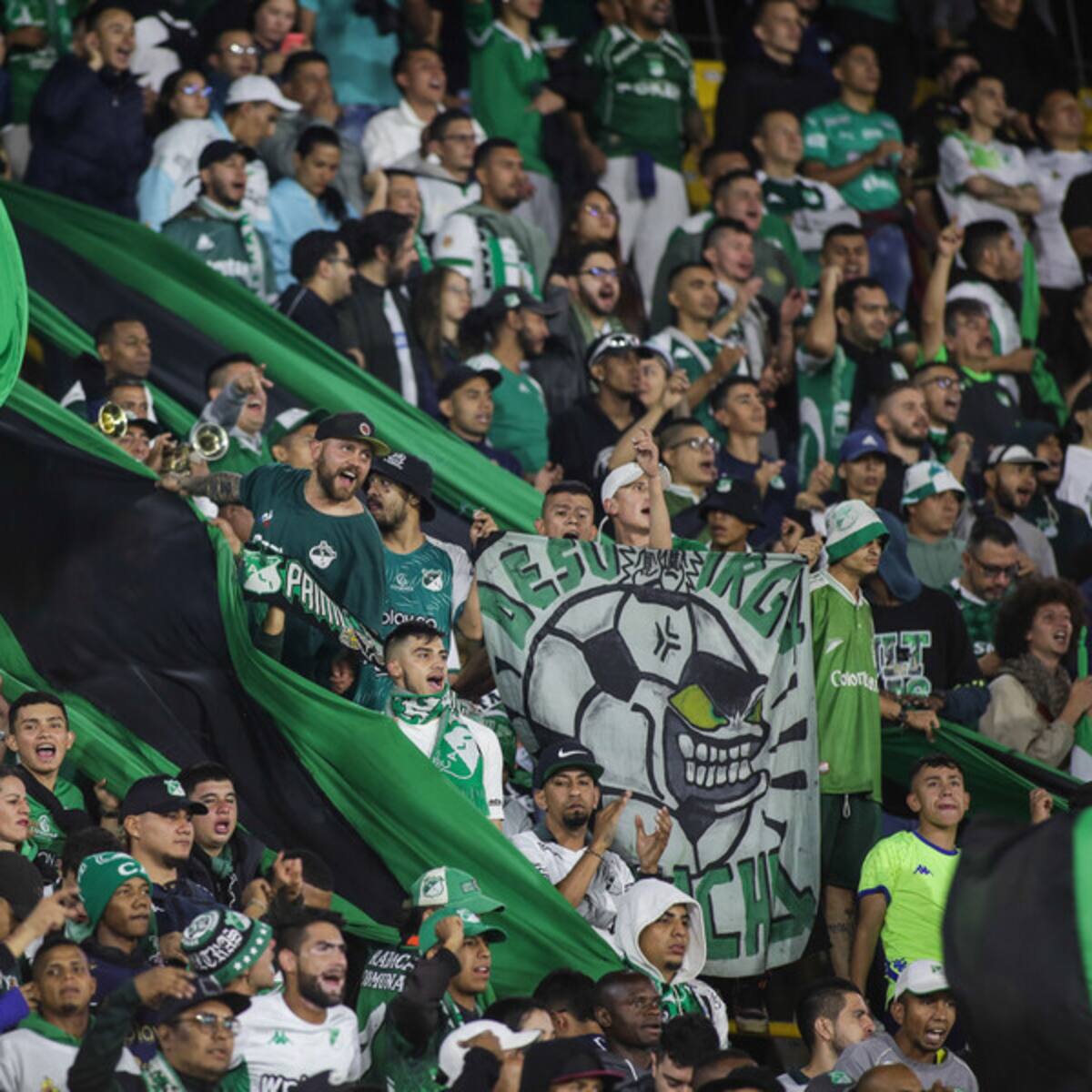 Video: Deportivo Cali se expone a otra sanción ante riñas de hinchas en la tribuna