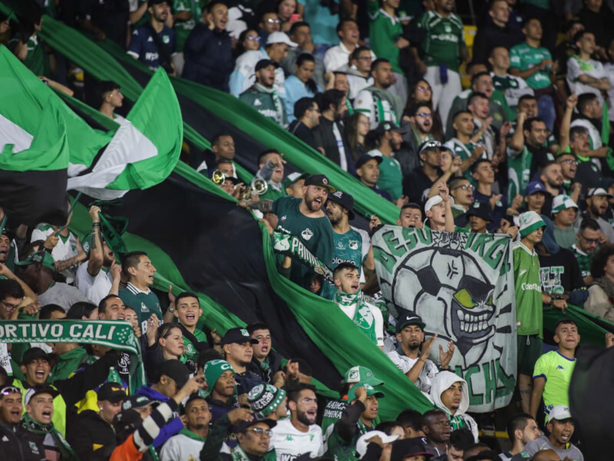 Video: Deportivo Cali se expone a otra sanción ante riñas de hinchas en la tribuna