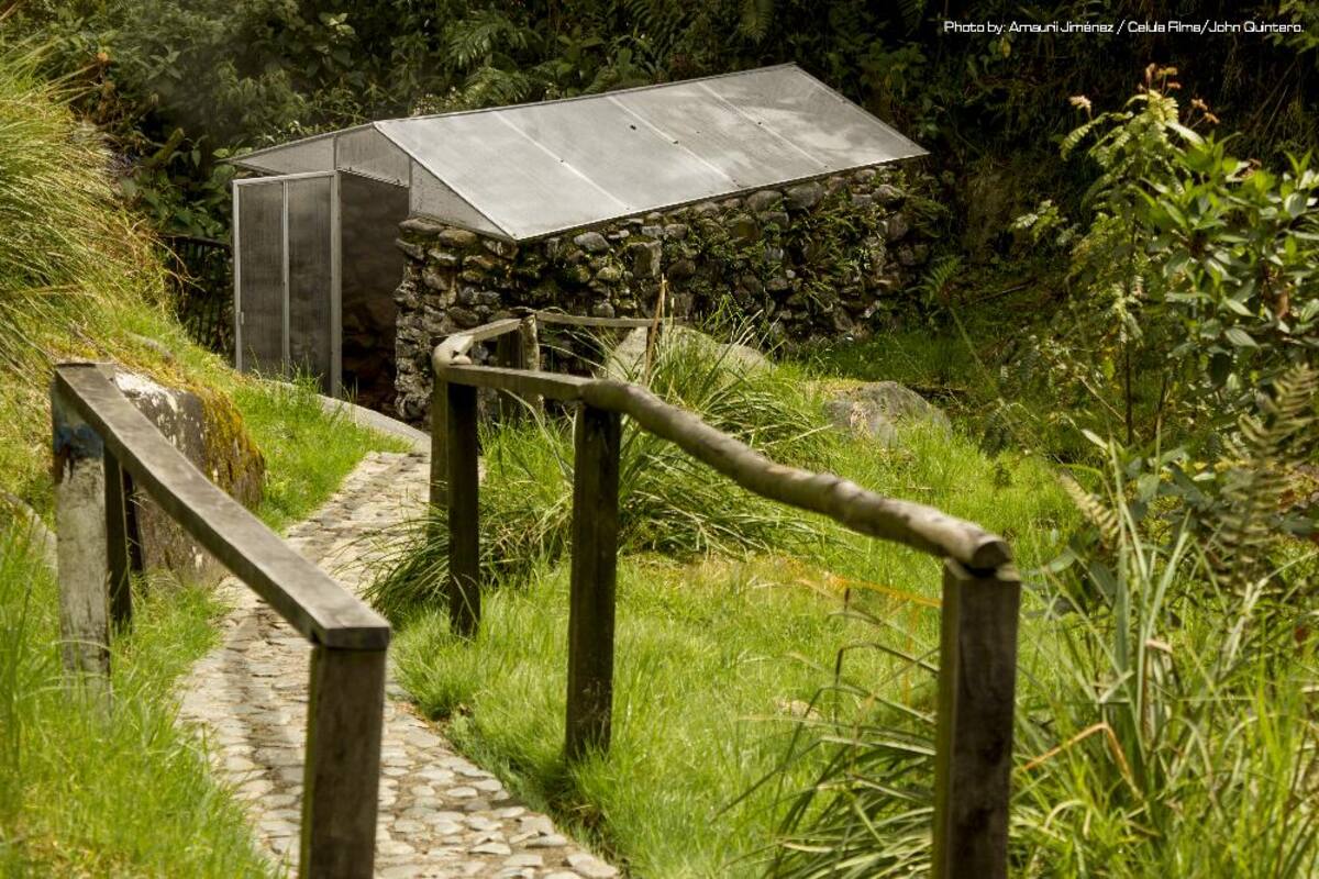 En estas piscinas termales, ubicadas en Santa Rosa de Cabal, se sentirá el placer del calor y las sales naturales; más que entretenimiento proporciona salud y bienestar.