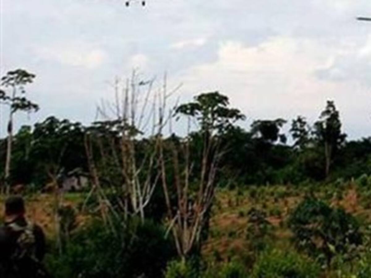 Denuncian nuevas irregularidades en adjudicación de baldíos