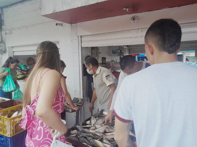 Venta de pescado sigue aumentando en Ibagué durante esta Semana Santa.