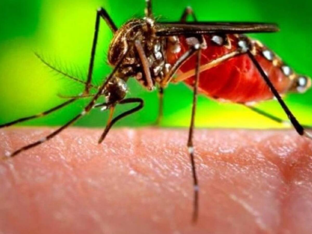 Huilenses a hacerle contención al dengue