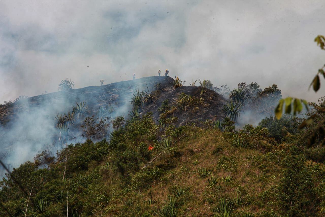 Incendio en Pichindé / Foto: Alcaldía de Cali