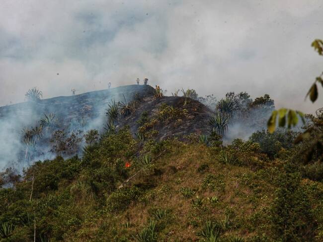 Incendio en Pichindé / Foto: Alcaldía de Cali