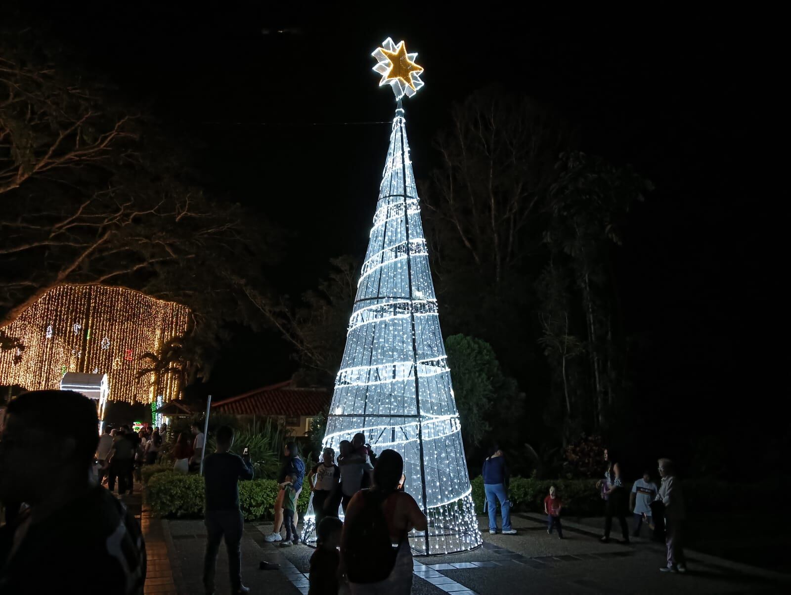 Hermoso arbolito de navidad iluminado en el parque Soledén de Comfenalco, QuindíoFoto: Adrián Trejos