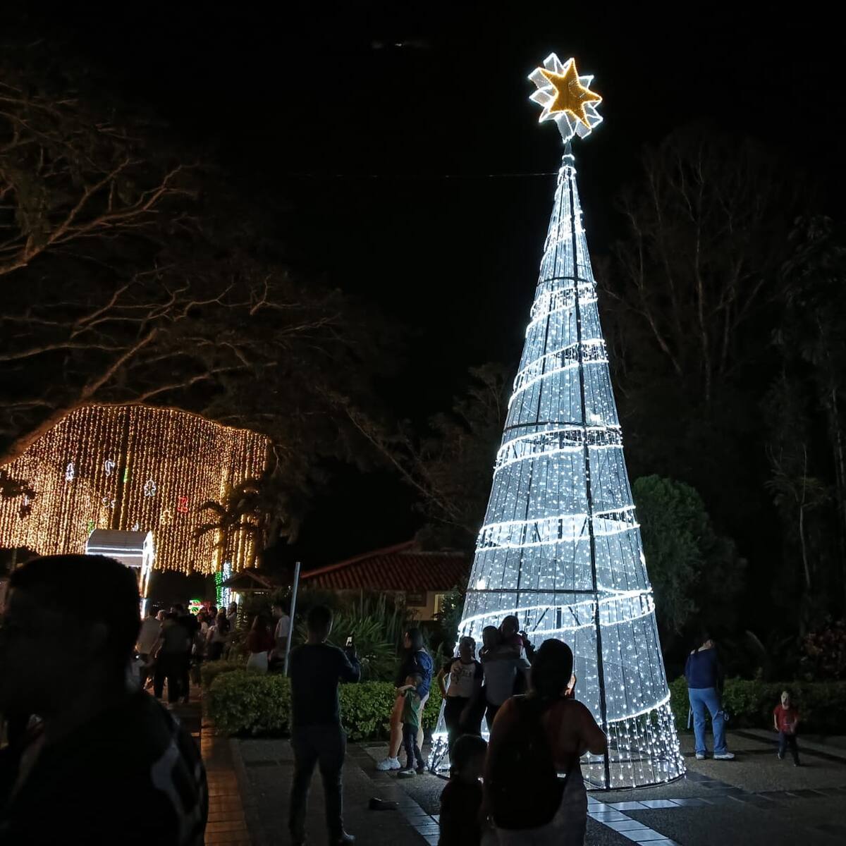 Miércoles 11 de diciembre, las noticias más importantes de Armenia y Quindío