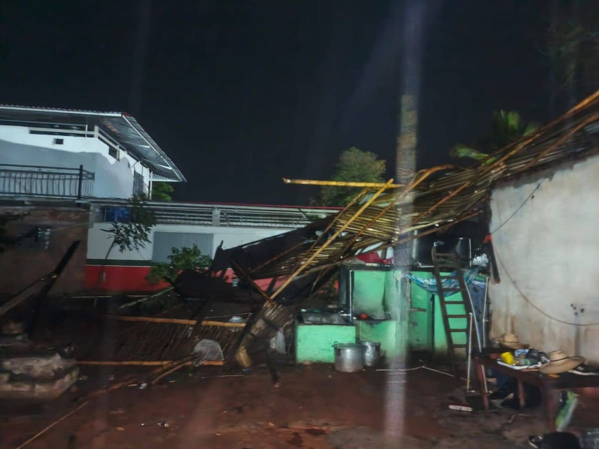 Vientos y lluvias dejaron viviendas afectadas y árboles caídos, en la Ruta 45 vía Timaná