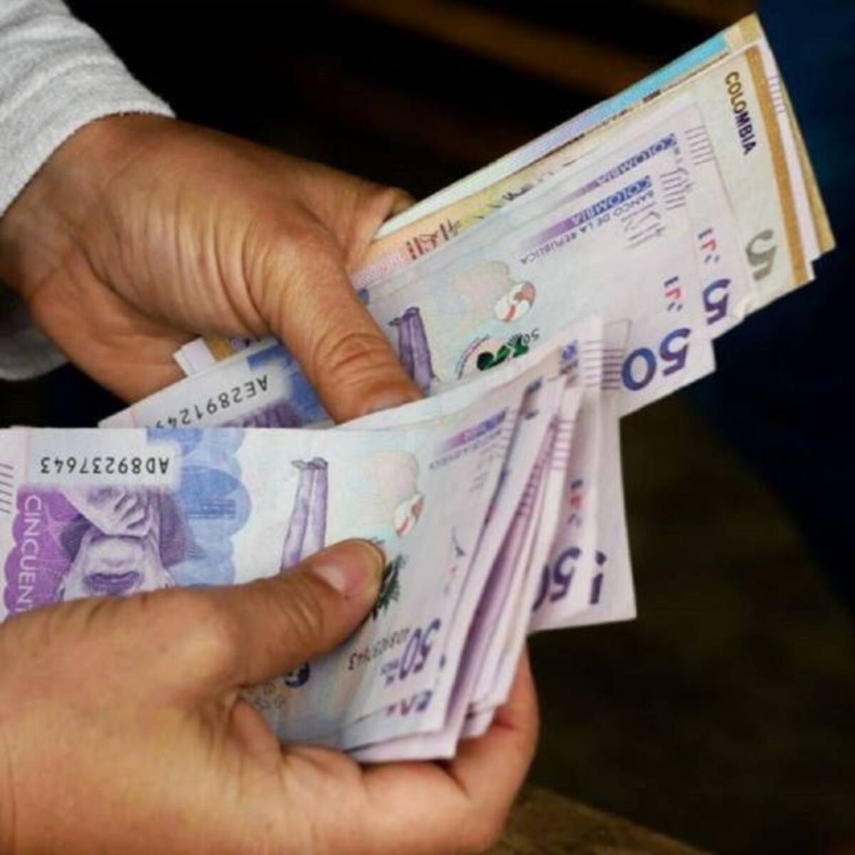 Aumento del salario mínimo impulsó alza de cuotas e inflación: Fedelonjas