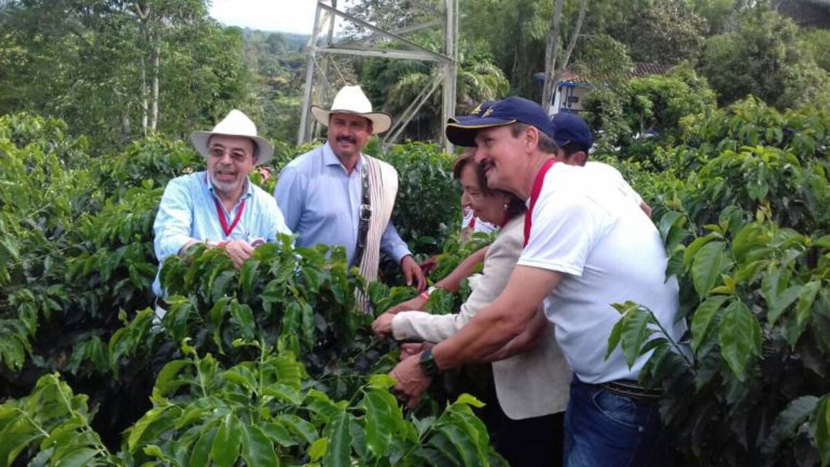 Cafeteros del Quindío terminan 2017 en saldo rojo por reducción del 50% en la cosecha cafetera