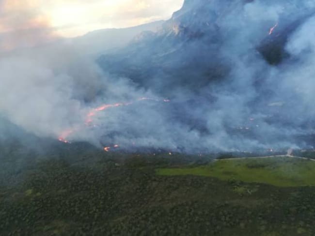 Más de 20 hectáreas consumidas por incendio forestal en Cundinamarca