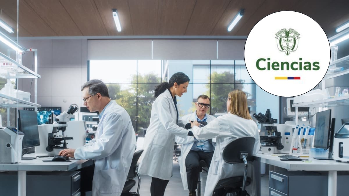 “Nunca llegó”: Profesionales denuncian falta de pago por parte del Ministerio de Ciencia