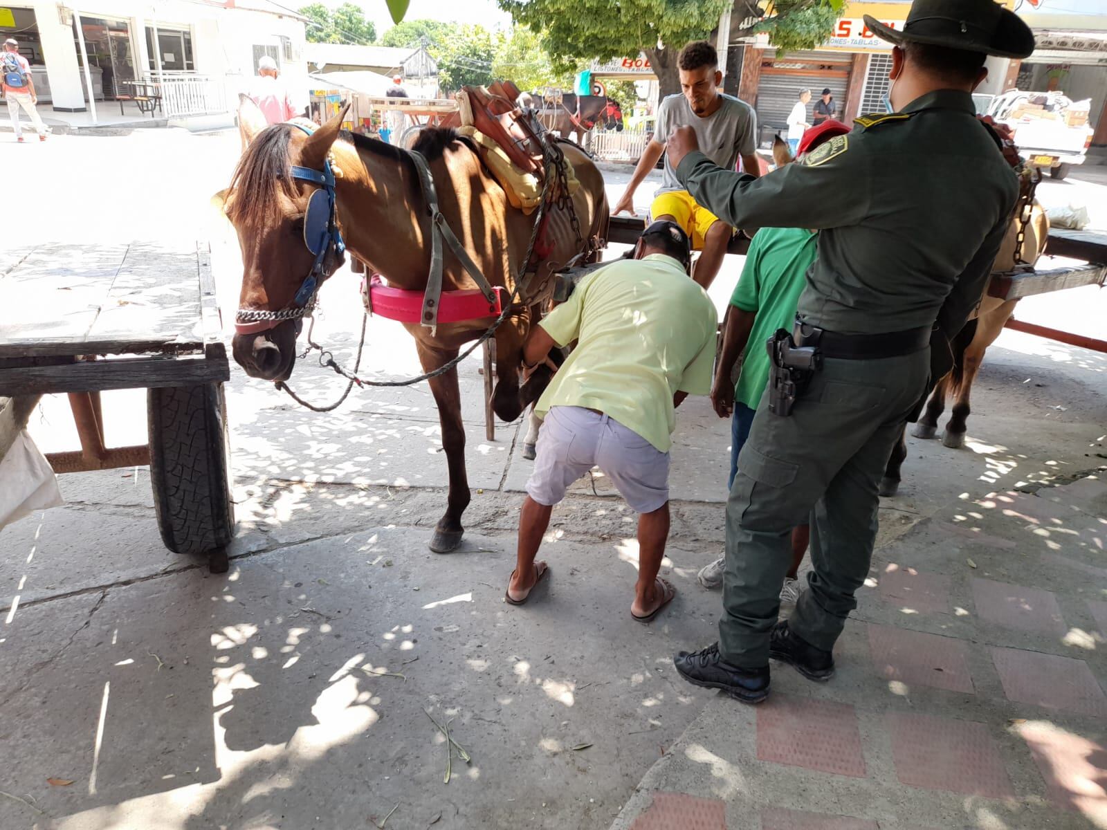 Departamento de Policía Bolívar