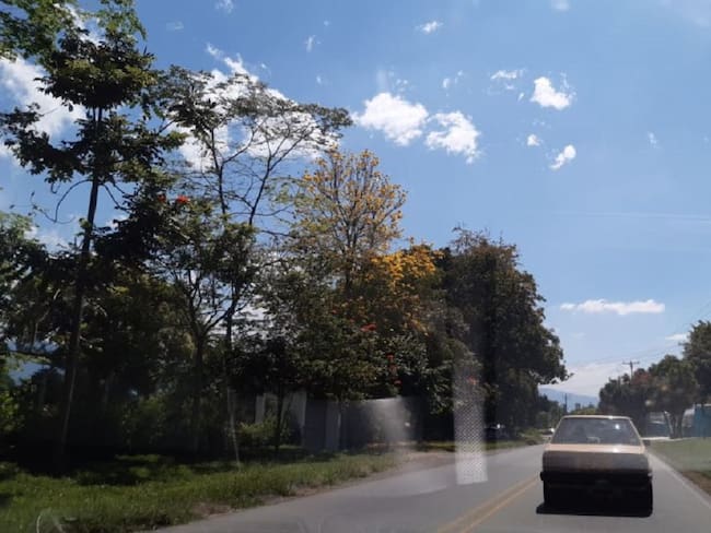 Días de sol y cielo azul en el departamento del Quindío