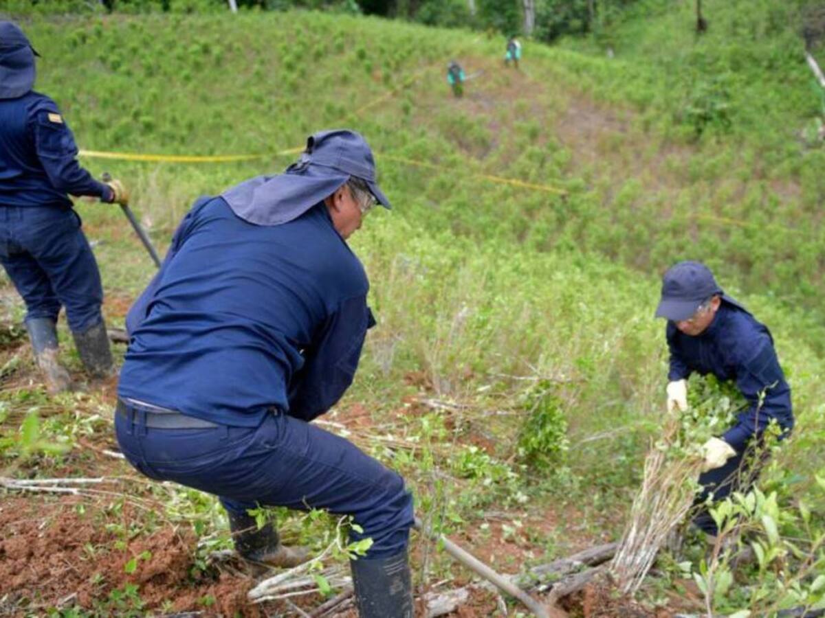 EE.UU. recomienda a Colombia expandir lucha contra el narcotráfico