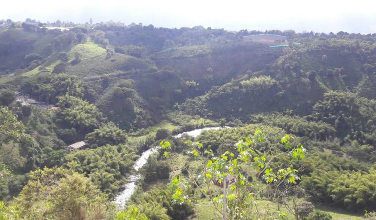 Al fondo el cañon del río del Quindío