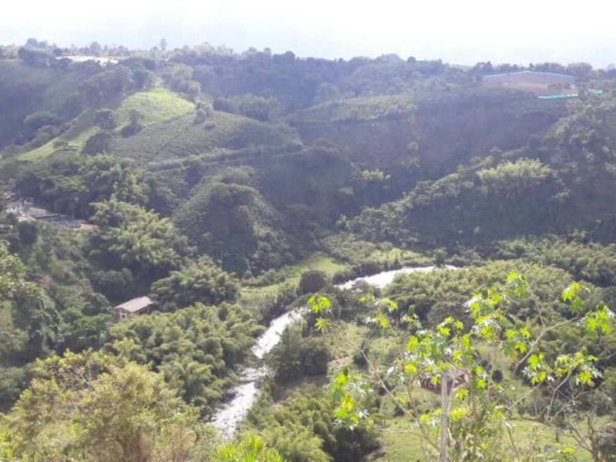 Las noticias más importantes de Armenia y Quindío, jueves 21 de diciembre