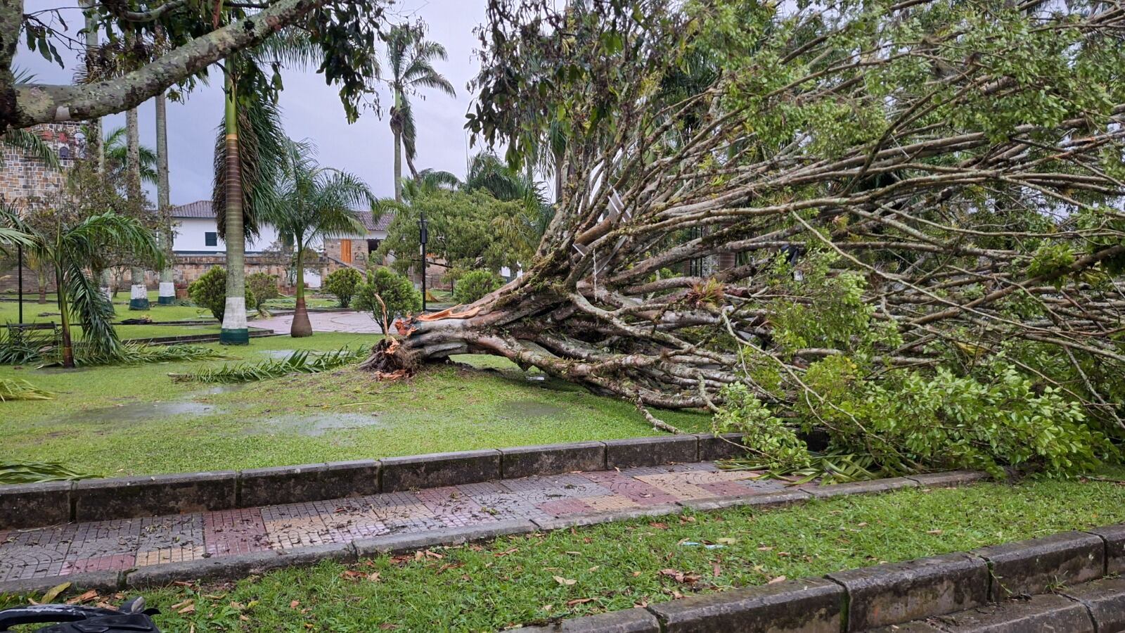 Tormenta eléctrica y vendaval dejo afectaciones en Guadalupe, Santander. Foto: Alcaldía de Guadalupe.